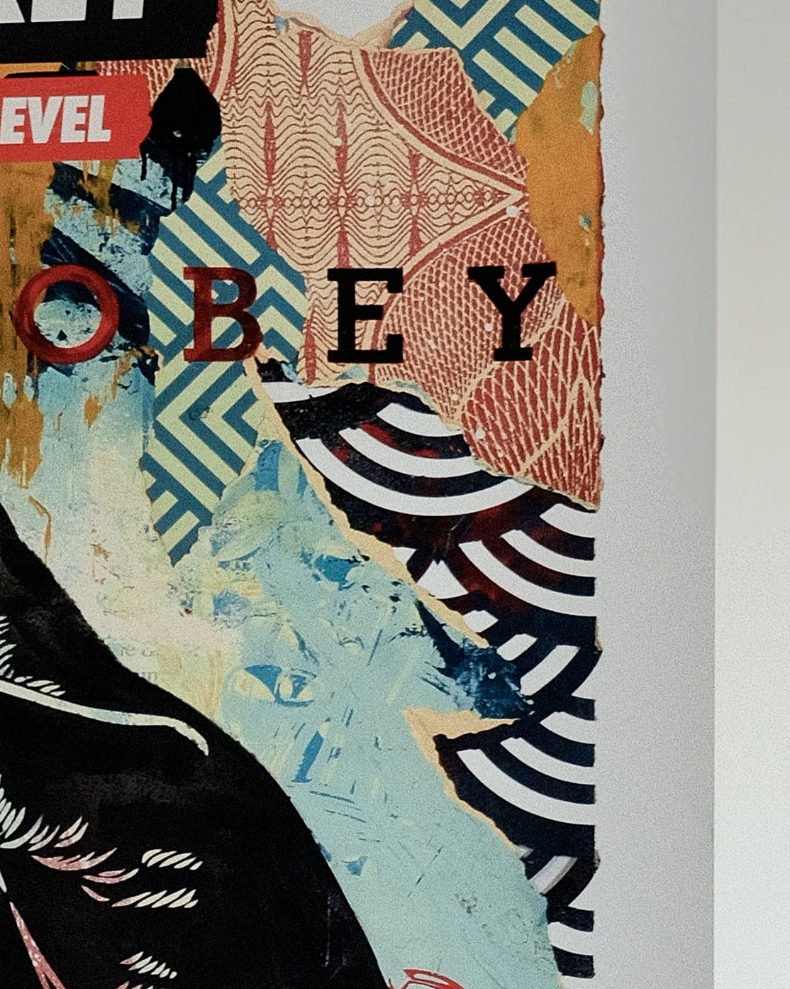 Detailed view of the intricate artwork and text in 'Printed Matters: Raise the Level' print by Shepard Fairey, showcasing its powerful imagery.